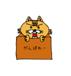 箱猫（個別スタンプ：19）