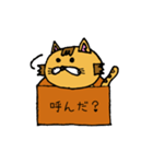 箱猫（個別スタンプ：30）