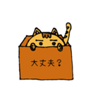 箱猫（個別スタンプ：32）