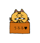 箱猫（個別スタンプ：34）