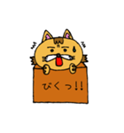 箱猫（個別スタンプ：40）