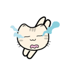 QQcat（個別スタンプ：12）