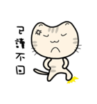 QQcat（個別スタンプ：19）