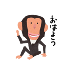 チンパンジーのバーブくん（個別スタンプ：1）