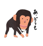 チンパンジーのバーブくん（個別スタンプ：4）