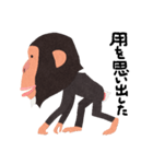 チンパンジーのバーブくん（個別スタンプ：5）