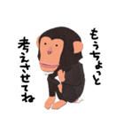 チンパンジーのバーブくん（個別スタンプ：6）