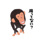 チンパンジーのバーブくん（個別スタンプ：8）