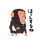 チンパンジーのバーブくん（個別スタンプ：18）