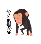 チンパンジーのバーブくん（個別スタンプ：19）