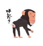 チンパンジーのバーブくん（個別スタンプ：22）