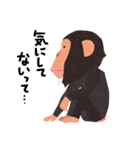 チンパンジーのバーブくん（個別スタンプ：28）
