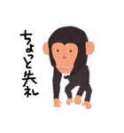 チンパンジーのバーブくん（個別スタンプ：31）