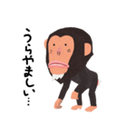 チンパンジーのバーブくん（個別スタンプ：36）