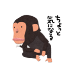 チンパンジーのバーブくん（個別スタンプ：37）