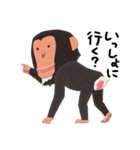 チンパンジーのバーブくん（個別スタンプ：38）