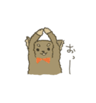 くまのこくーたん。チワワです。（個別スタンプ：5）