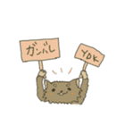 くまのこくーたん。チワワです。（個別スタンプ：22）