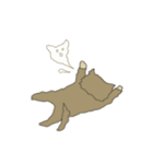 くまのこくーたん。チワワです。（個別スタンプ：32）