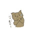くまのこくーたん。チワワです。（個別スタンプ：34）