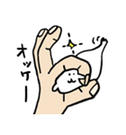 アザラシさん、います。（個別スタンプ：26）