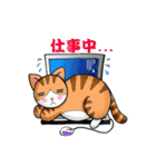 小猫 ＆ 小乖（個別スタンプ：3）