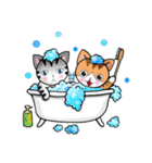 小猫 ＆ 小乖（個別スタンプ：17）