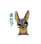 ミニピン☆ぴん（個別スタンプ：1）