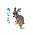 ミニピン☆ぴん（個別スタンプ：34）