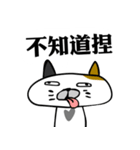 Mr.I don't Cat！（個別スタンプ：15）