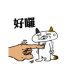 Mr.I don't Cat！（個別スタンプ：29）