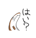 ハモスタンプ（個別スタンプ：39）