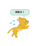 飼い主募集ネコ（個別スタンプ：15）