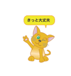 飼い主募集ネコ（個別スタンプ：17）