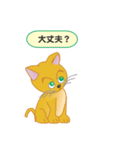 飼い主募集ネコ（個別スタンプ：18）