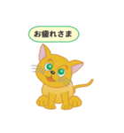 飼い主募集ネコ（個別スタンプ：20）
