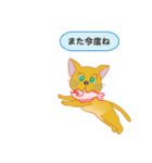 飼い主募集ネコ（個別スタンプ：21）