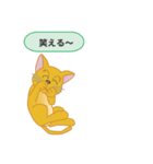 飼い主募集ネコ（個別スタンプ：22）