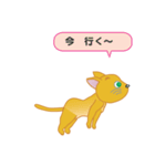 飼い主募集ネコ（個別スタンプ：28）