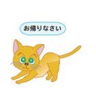 飼い主募集ネコ（個別スタンプ：30）