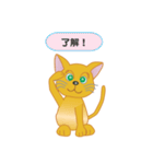 飼い主募集ネコ（個別スタンプ：36）