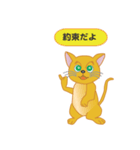 飼い主募集ネコ（個別スタンプ：38）