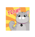 Nala the Cat（個別スタンプ：1）