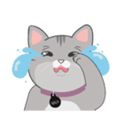 Nala the Cat（個別スタンプ：18）