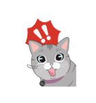 Nala the Cat（個別スタンプ：21）