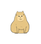 Hey Capybara！（個別スタンプ：1）
