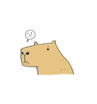 Hey Capybara！（個別スタンプ：2）