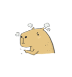 Hey Capybara！（個別スタンプ：3）
