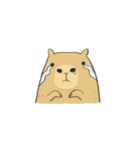 Hey Capybara！（個別スタンプ：4）