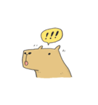 Hey Capybara！（個別スタンプ：5）